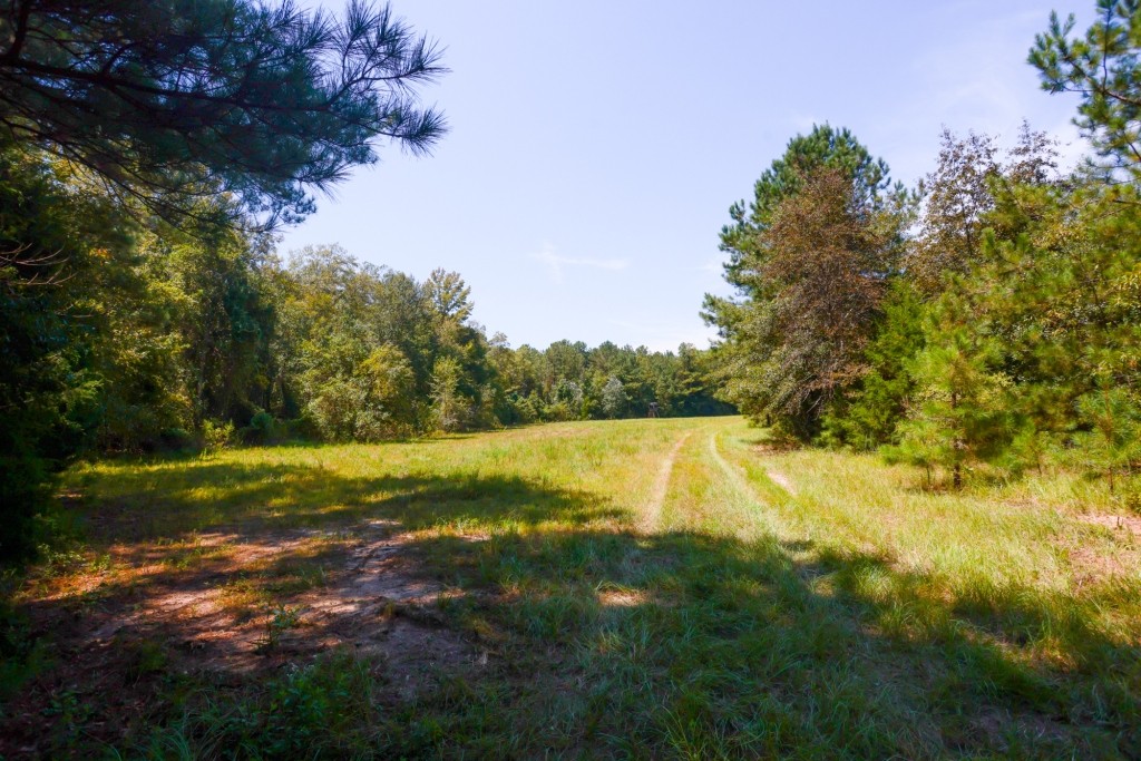 Whitewater Ranch Photo