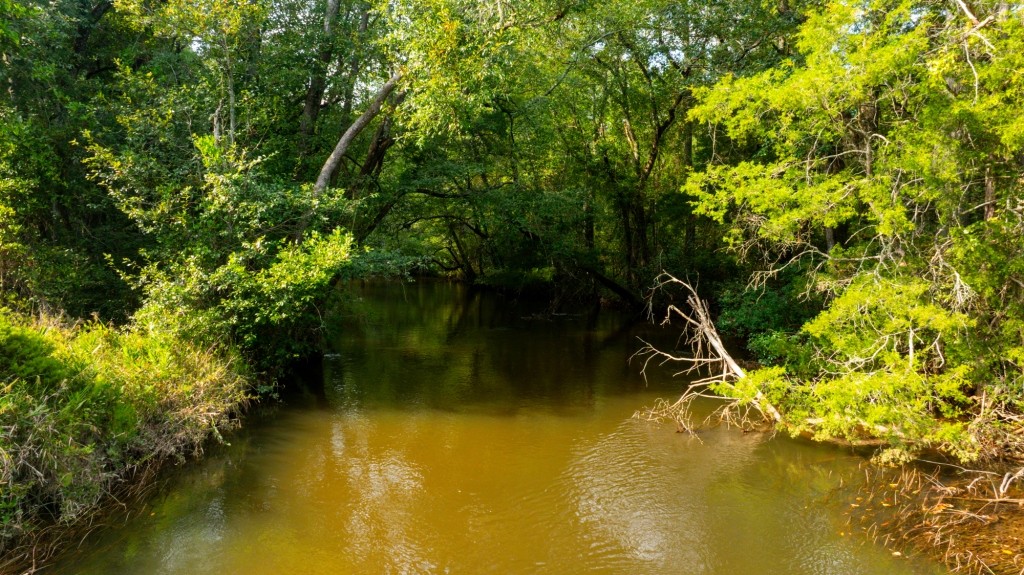 Whitewater Ranch Photo