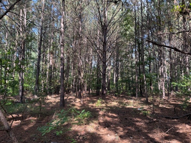 CE Norman Road Homesite Photo