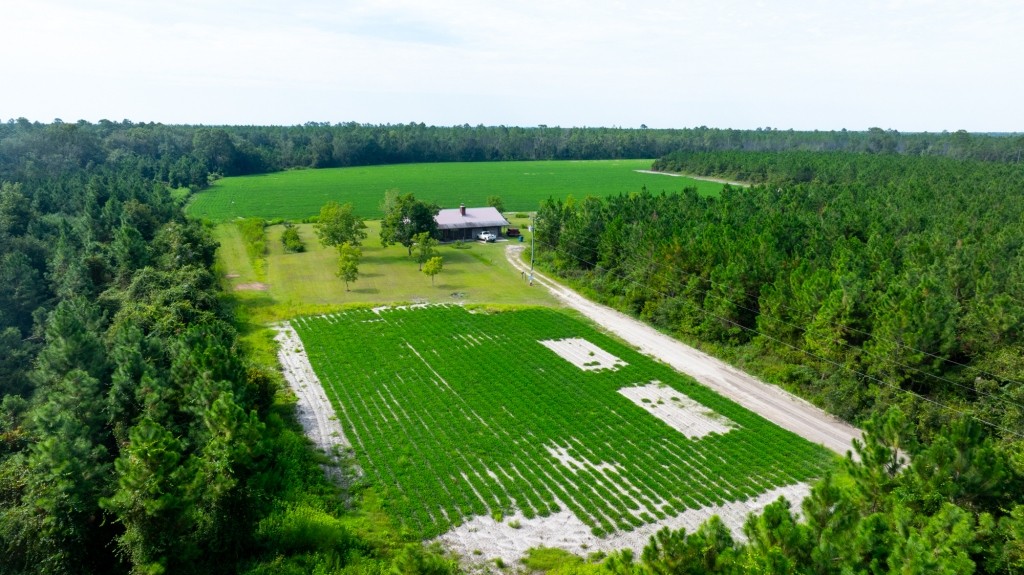 Bennett Family Farm Photo
