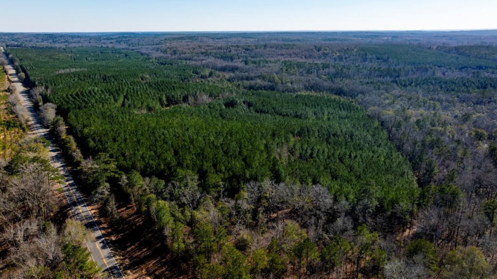 Double Creek Timber Photo