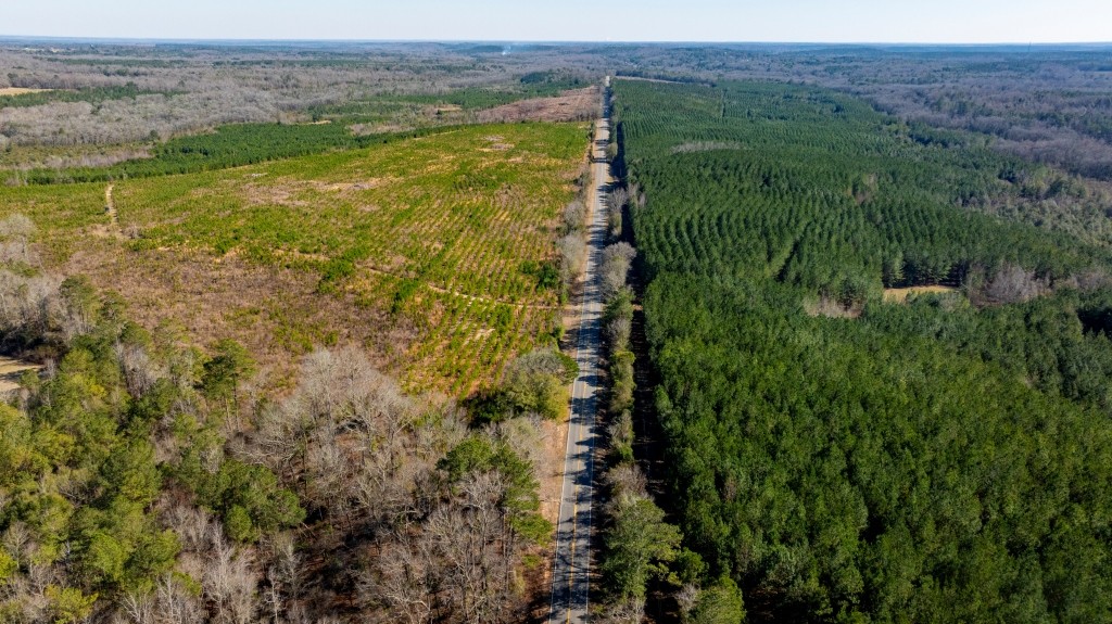 Double Creek Timber Photo
