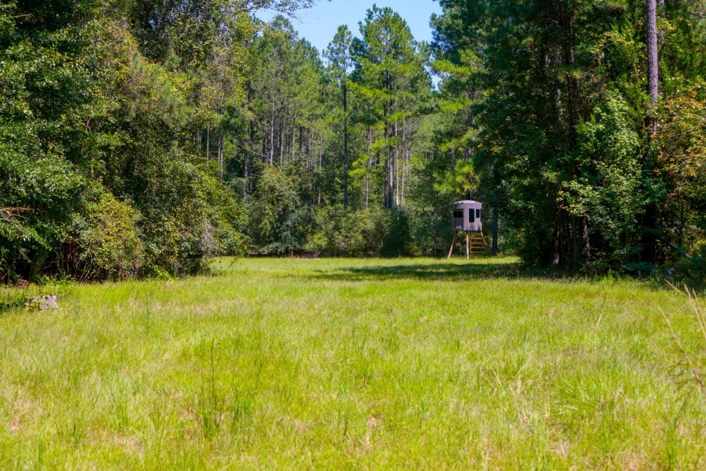 Whitewater Ranch Photo
