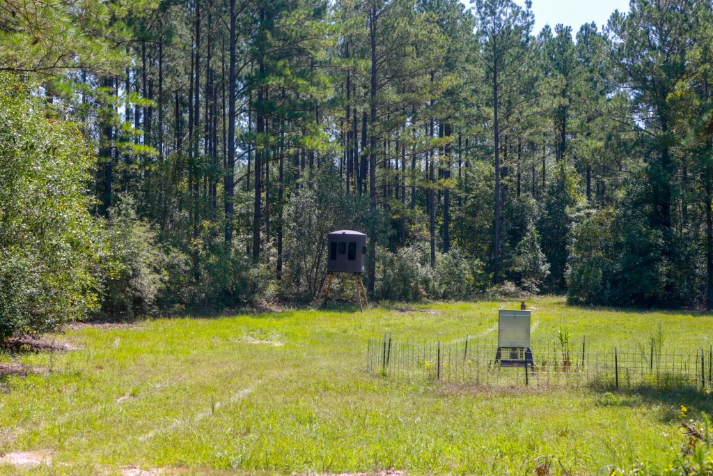 Whitewater Ranch Photo