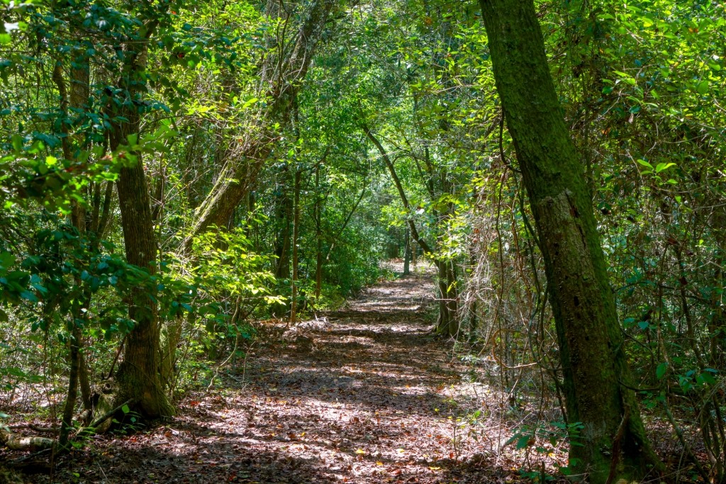 Whitewater Ranch Photo