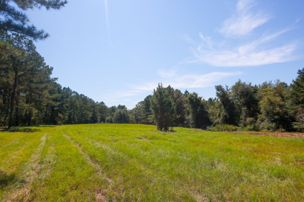 Whitewater Ranch Photo