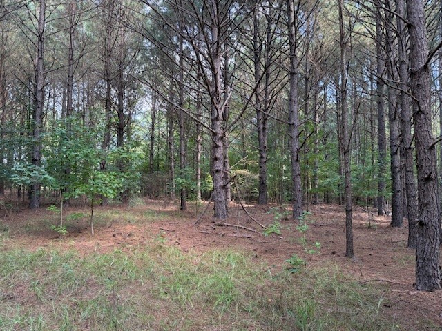 CE Norman Road Homesite Photo