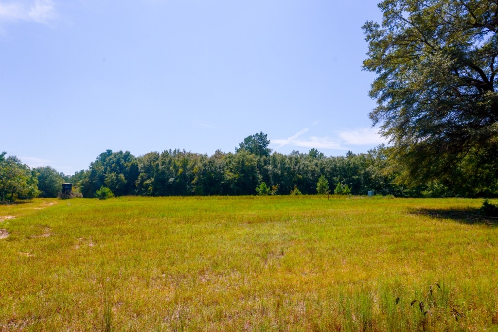 Whitewater Ranch Photo