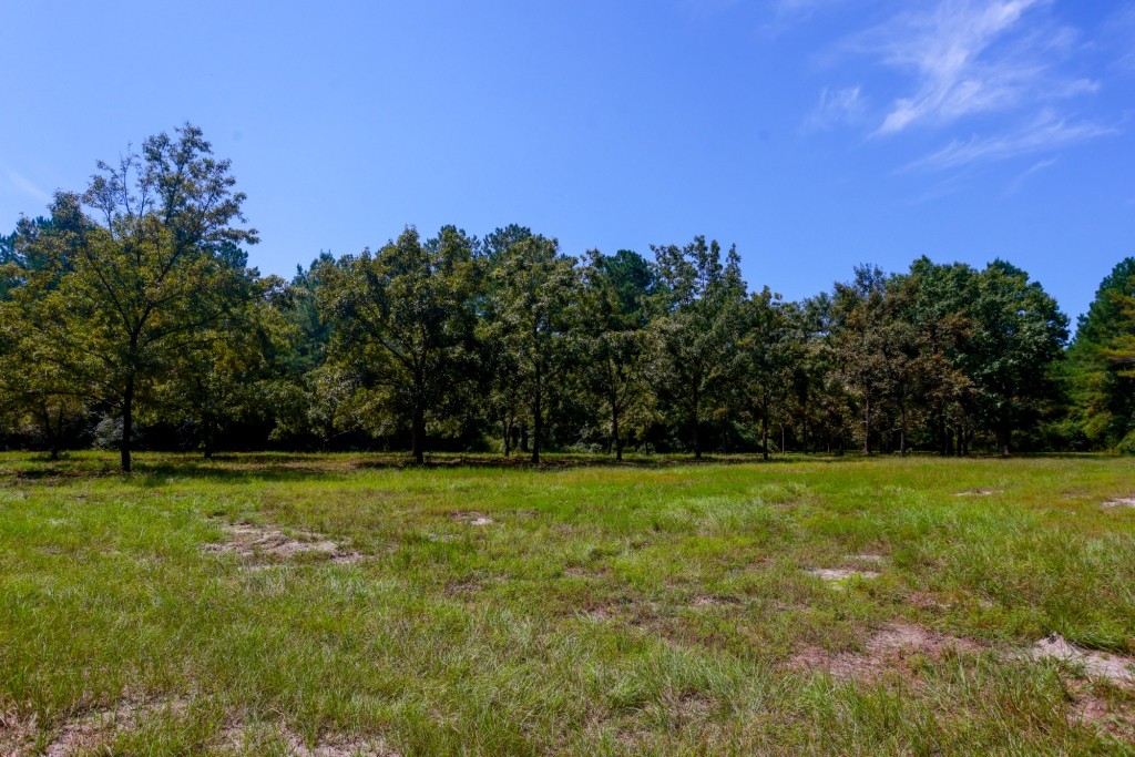 Whitewater Ranch Photo