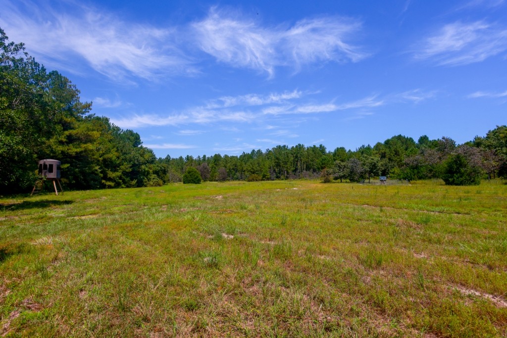 Whitewater Ranch Photo