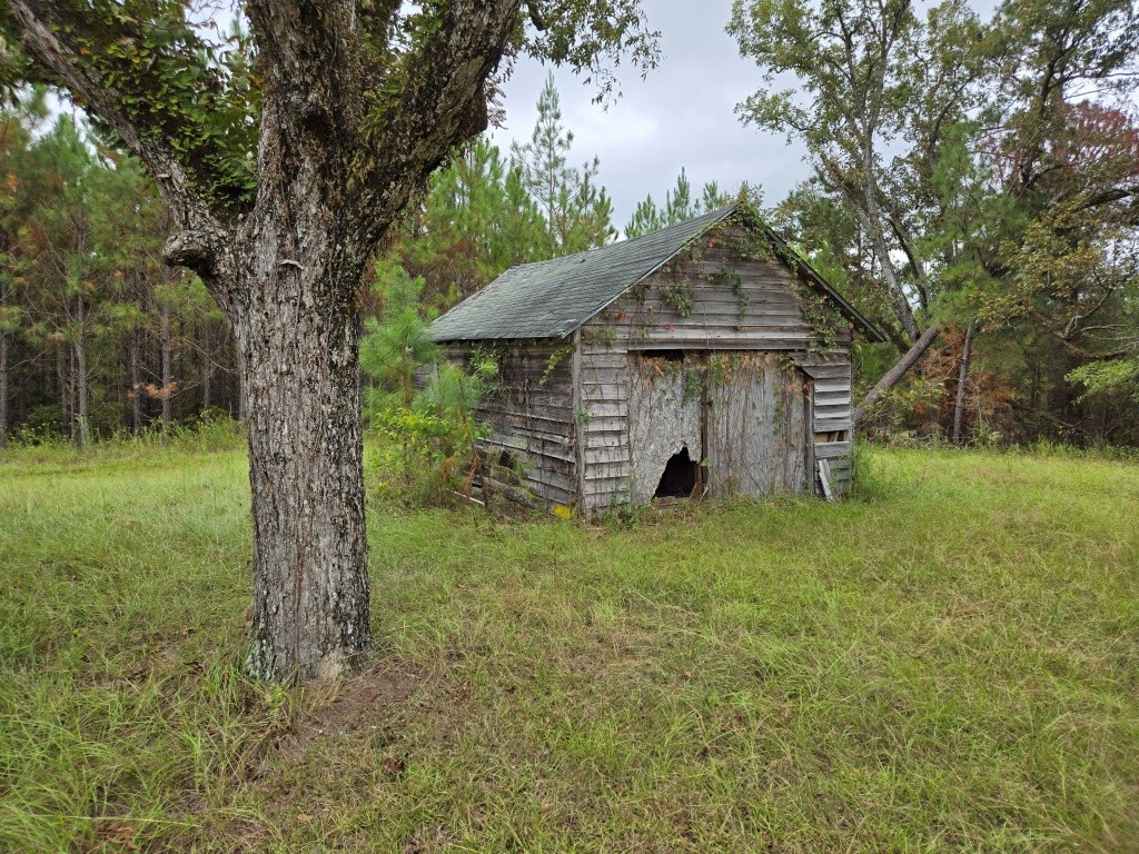 Mule Pen Creek Timber Photo