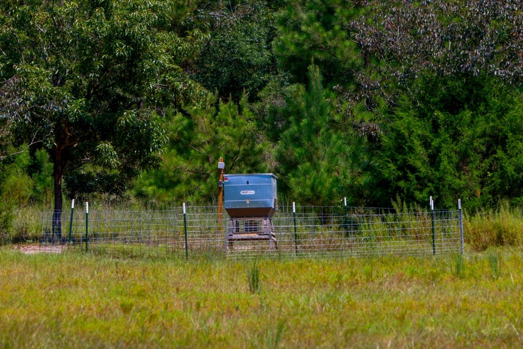 Whitewater Ranch Photo