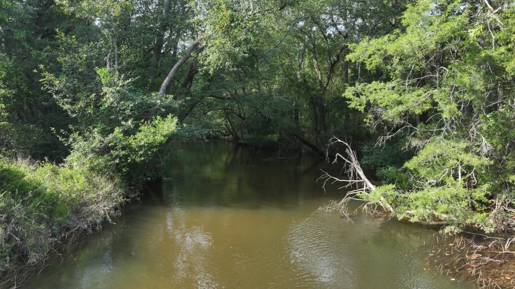 Double Creek Timber Photo