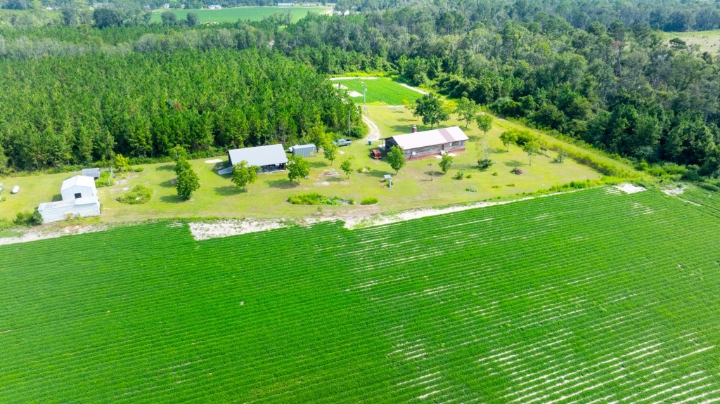 Bennett Family Farm Photo