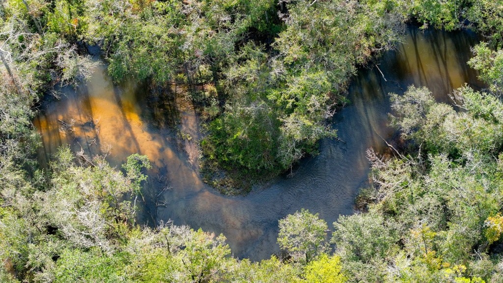Double Creek Timber Photo