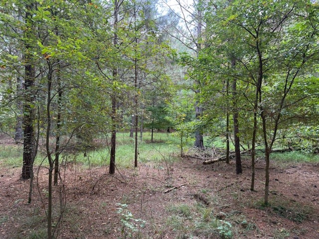CE Norman Road Homesite Photo