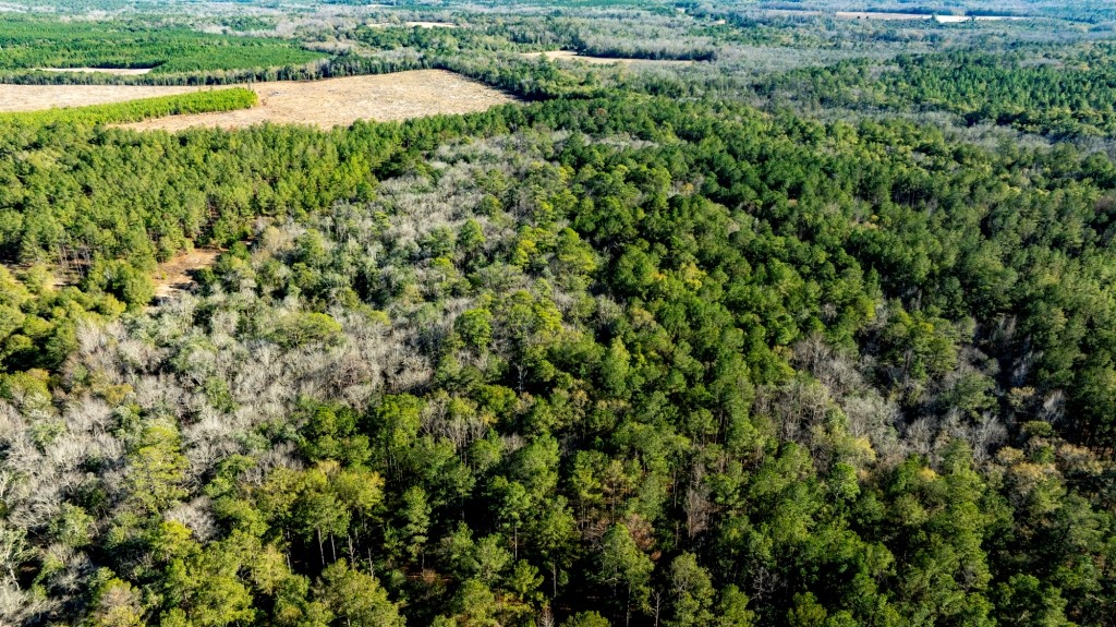 Whitewater Ranch Photo