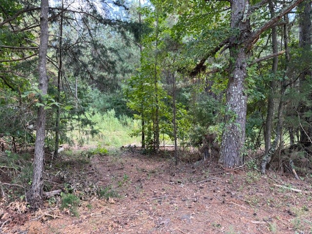 CE Norman Road Homesite Photo