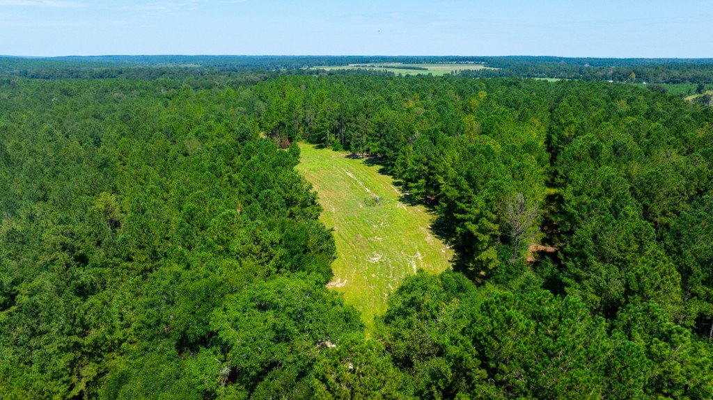 Whitewater Ranch Photo