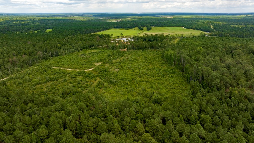 Burketts Ferry Road Photo