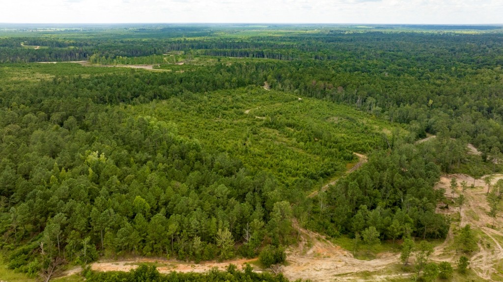Burketts Ferry Road Photo