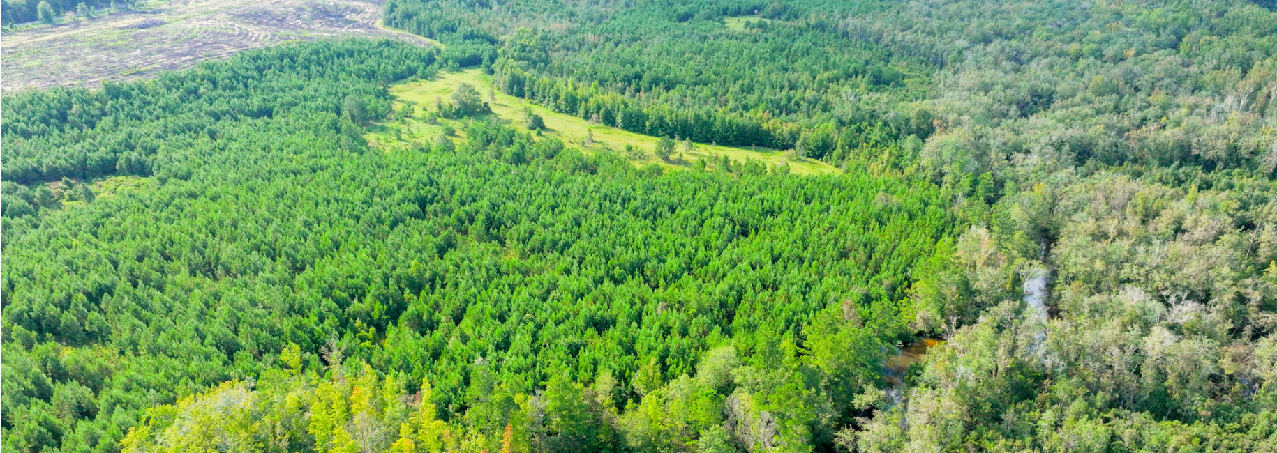 Double Creek Timber Main Photo