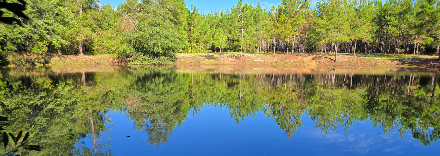 Mule Pen Creek Timber Main Photo