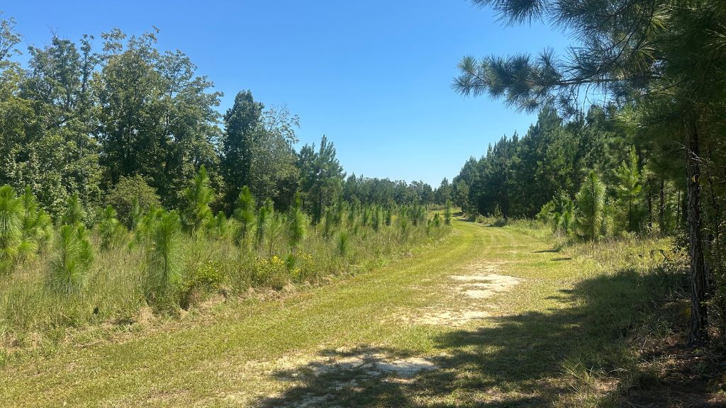 Hiltonia Farm Photo