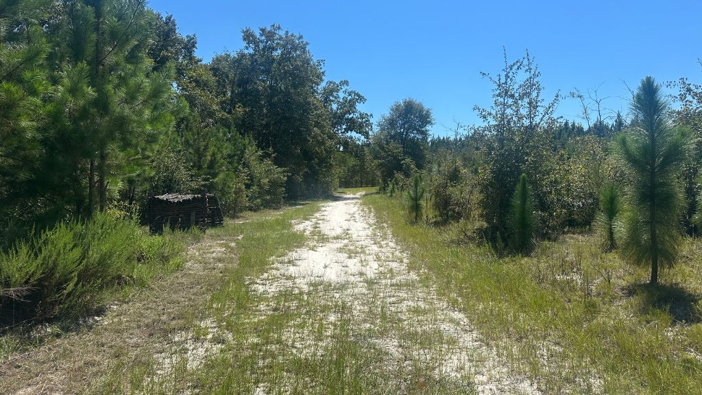 Hiltonia Farm Photo