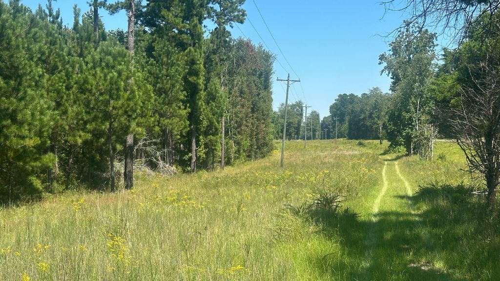 Hiltonia Farm Photo