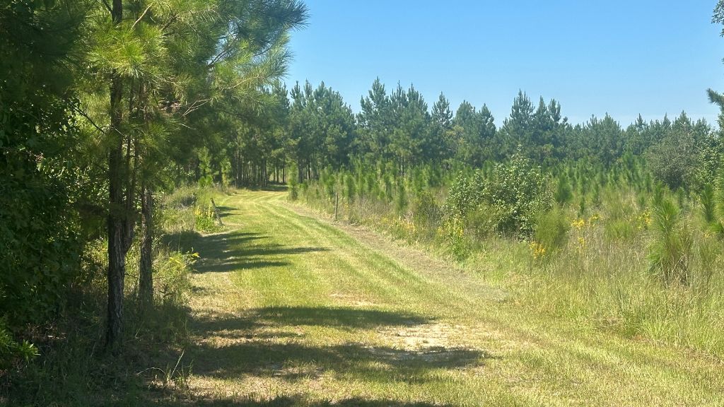 Hiltonia Farm Photo