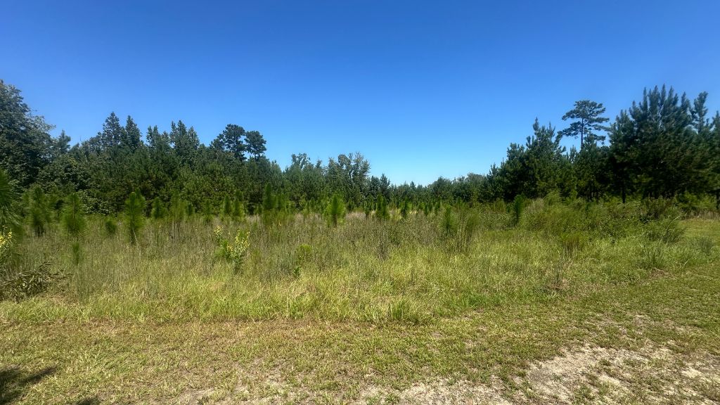 Hiltonia Farm Photo
