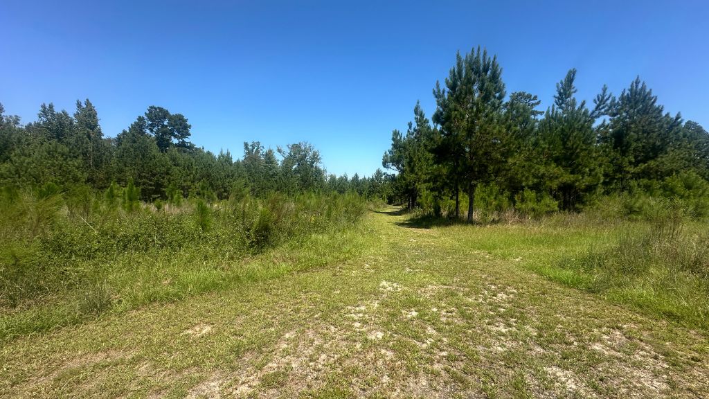 Hiltonia Farm Photo