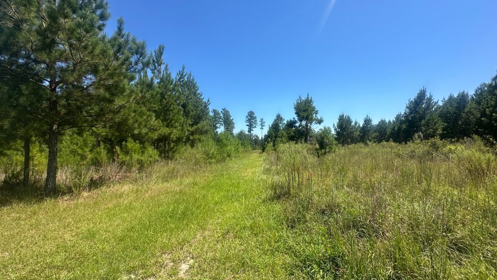 Hiltonia Farm Photo