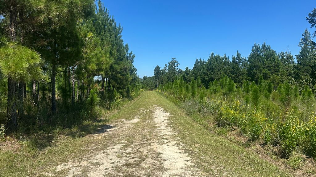 Hiltonia Farm Photo