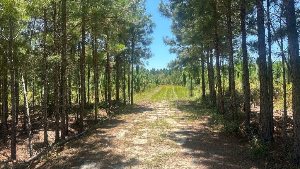 Hiltonia Farm Photo