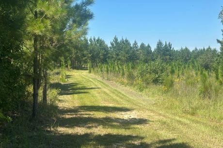 Hiltonia Farm