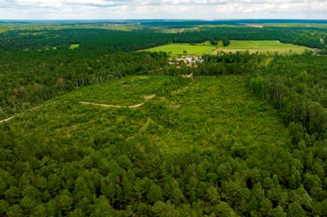 Burketts Ferry Road