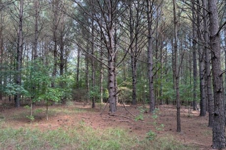 CE Norman Road Homesite