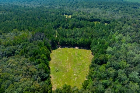 Whitewater Ranch
