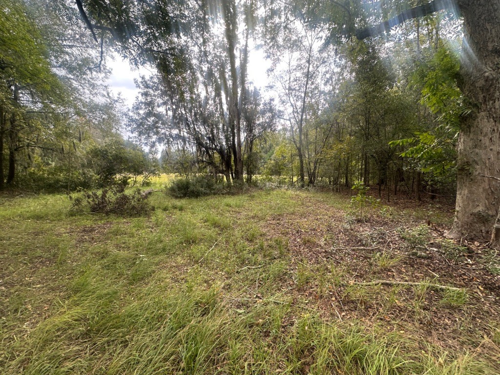 Low Ground Road Photo