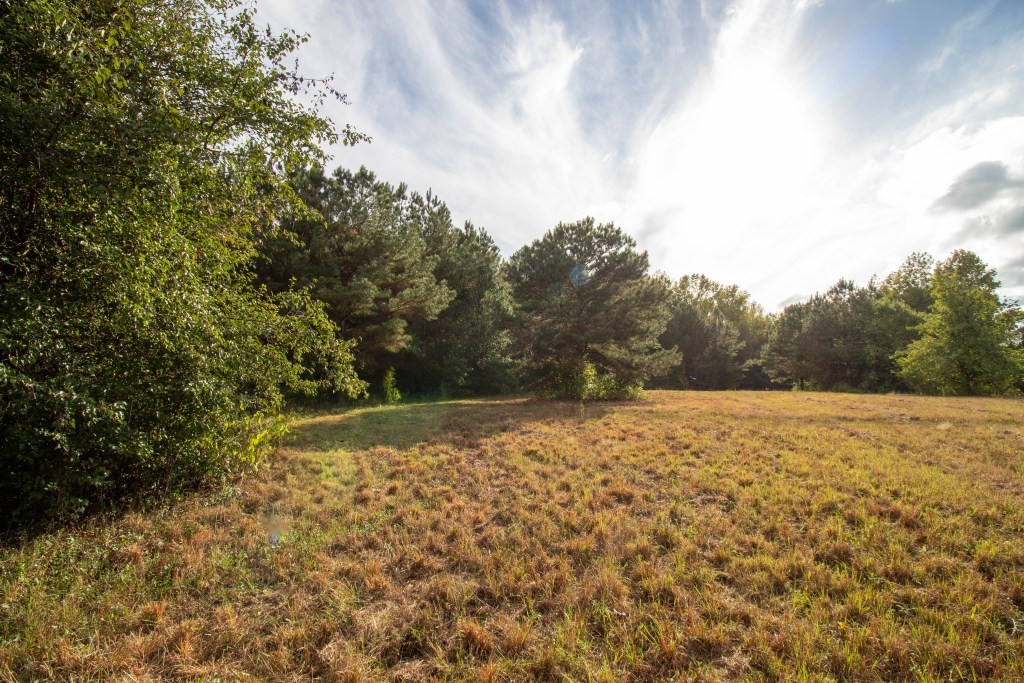 Dead Oak Tract Photo