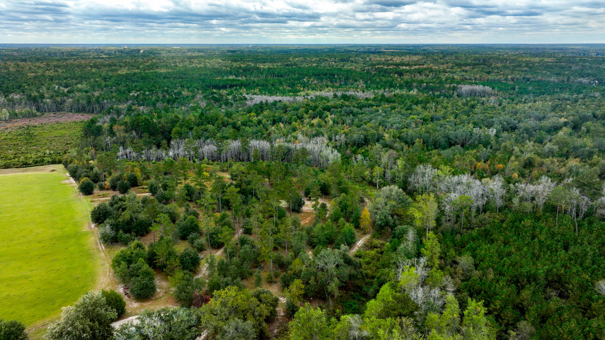 Hendrix Bridge Farm Photo