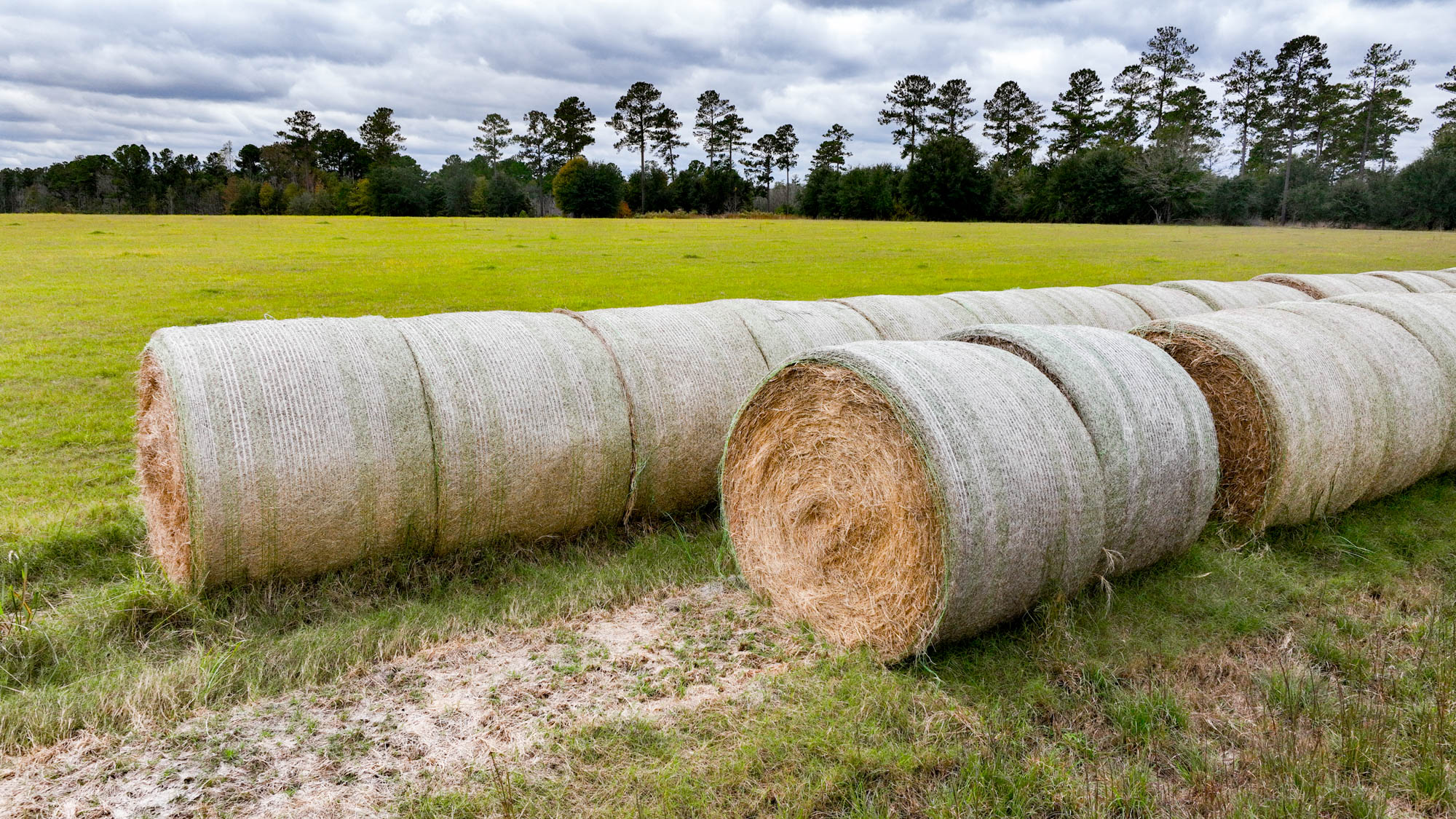 Hendrix Bridge Farm Photo