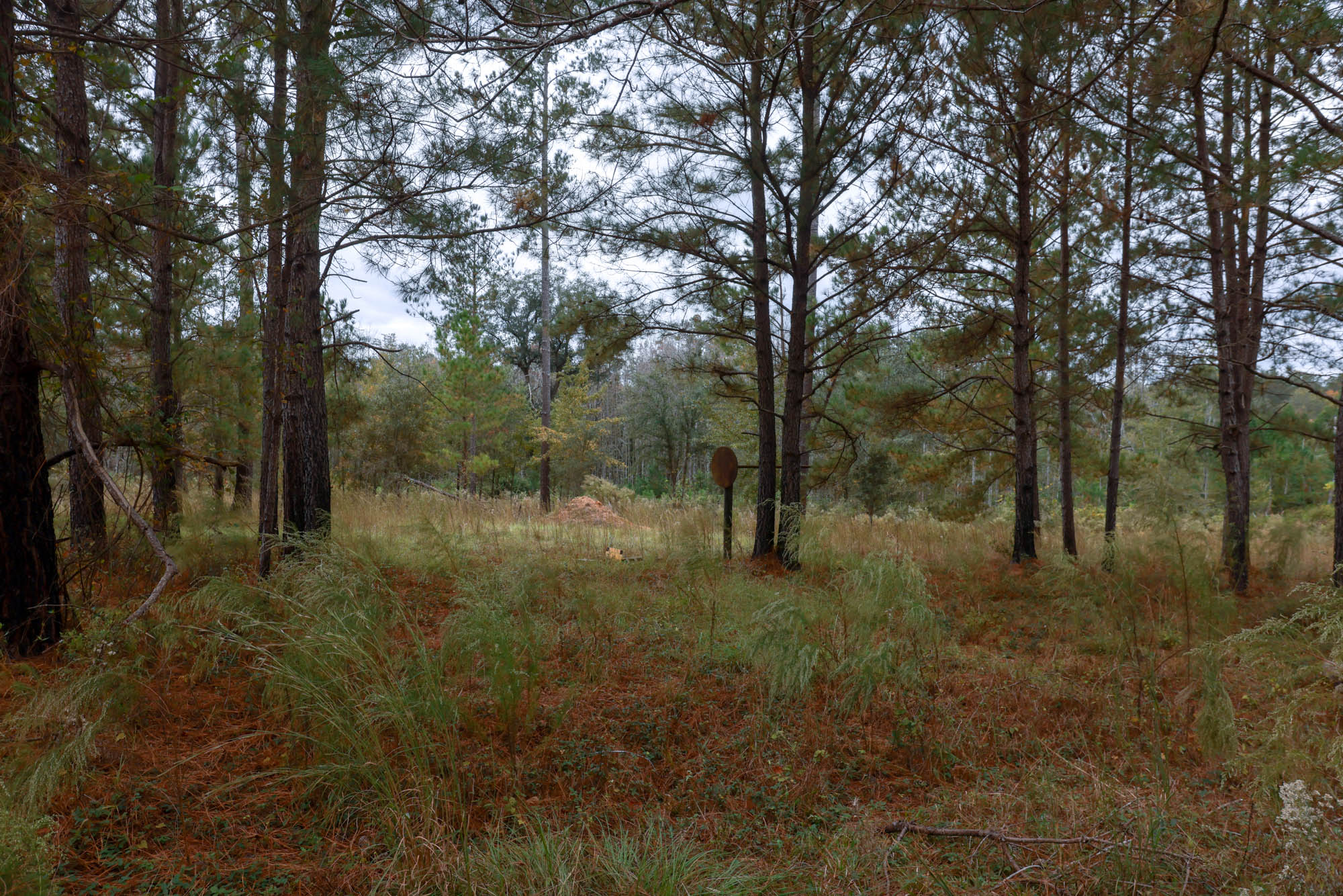 Hendrix Bridge Farm Photo