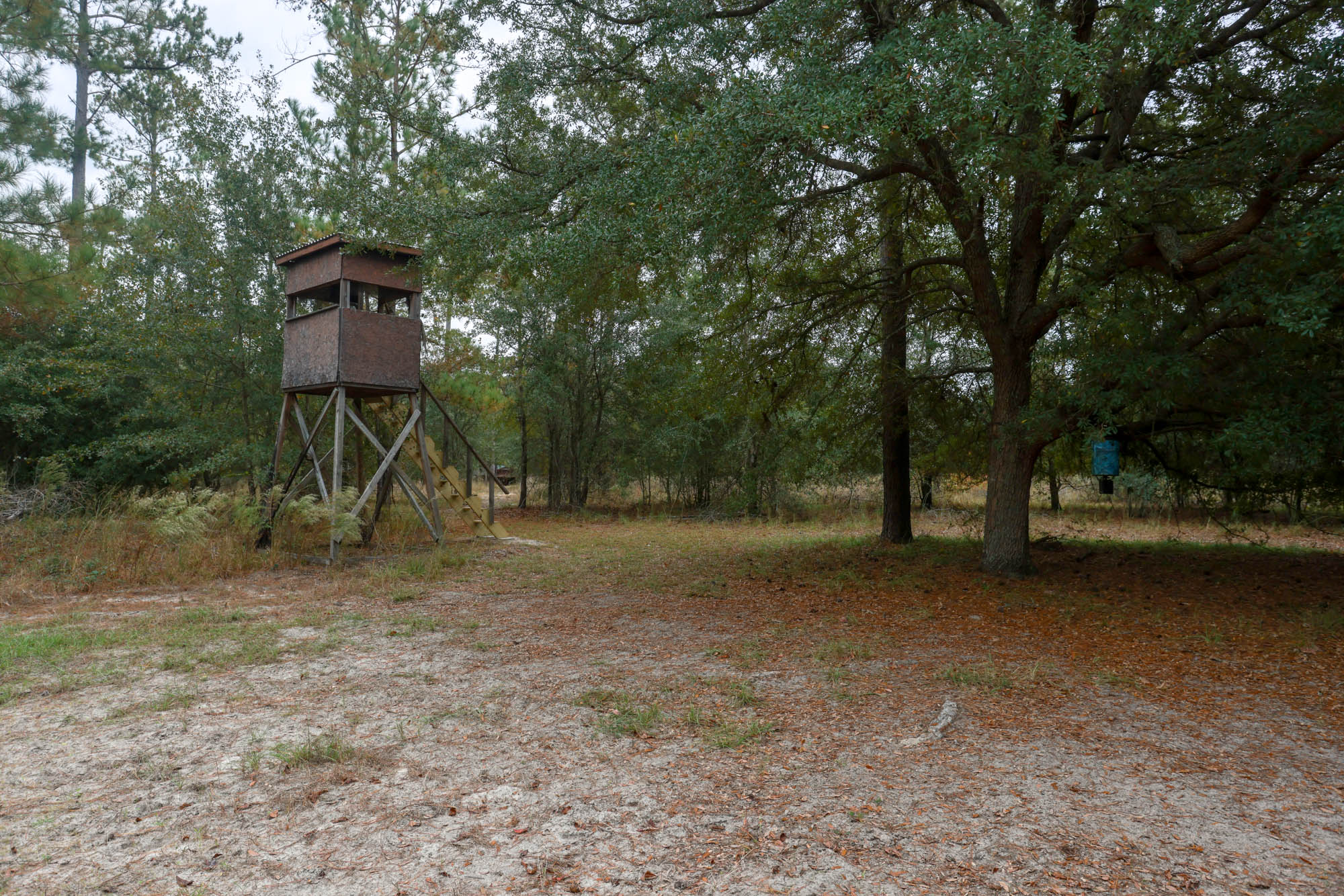 Hendrix Bridge Farm Photo
