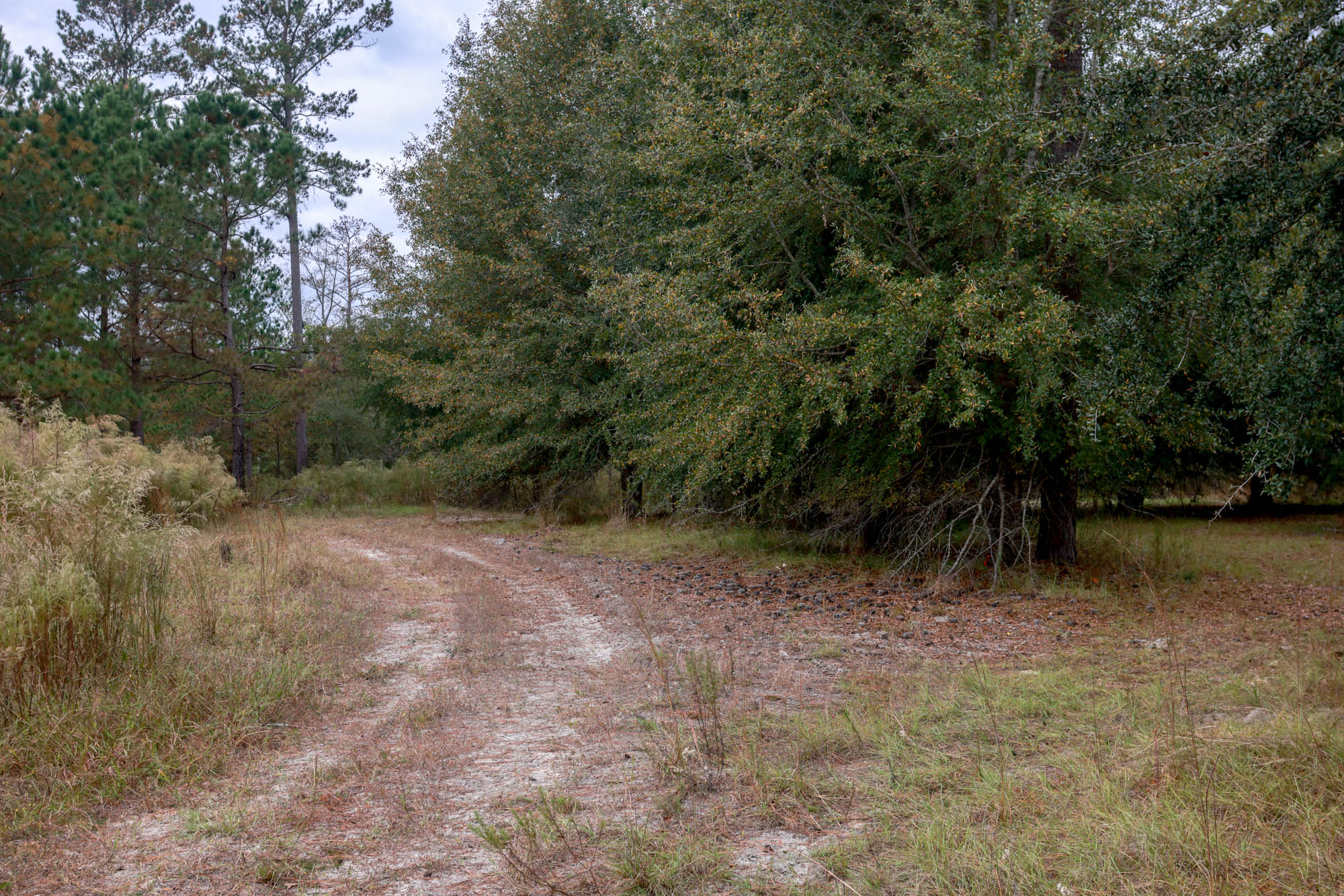 Hendrix Bridge Farm Photo