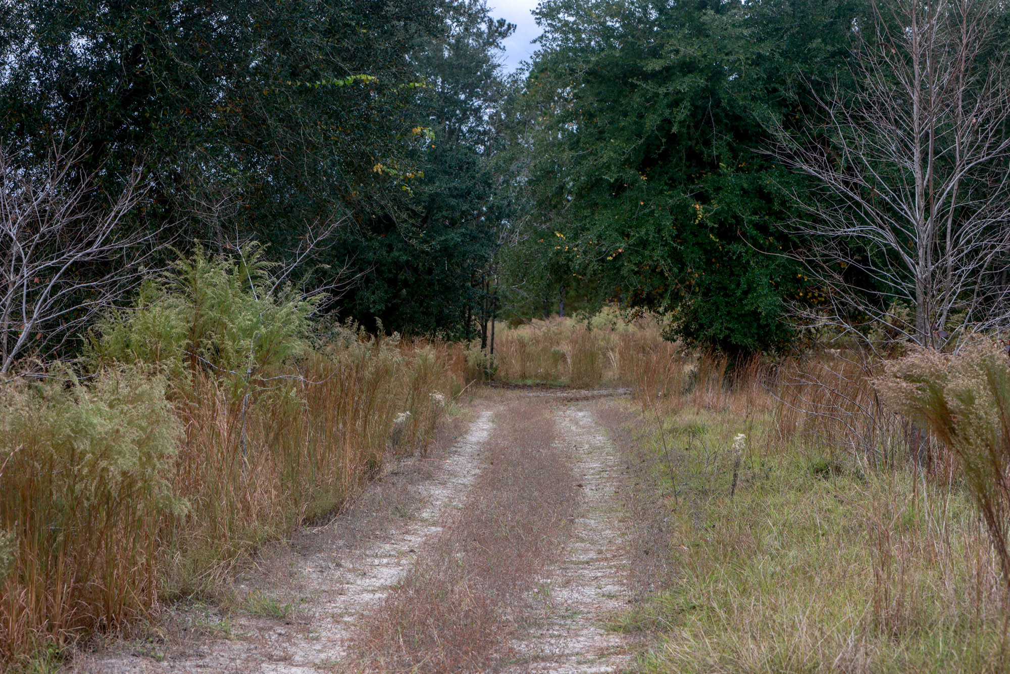 Hendrix Bridge Farm Photo