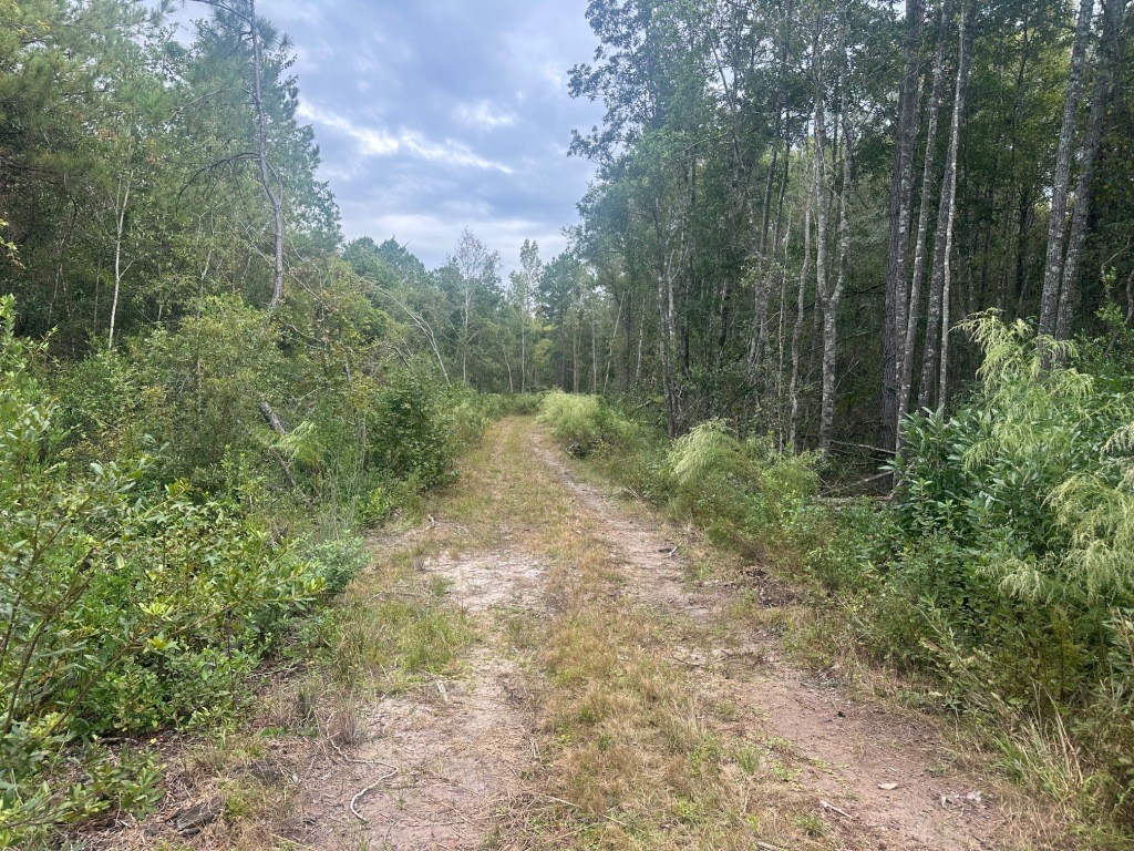 Low Ground Road Photo