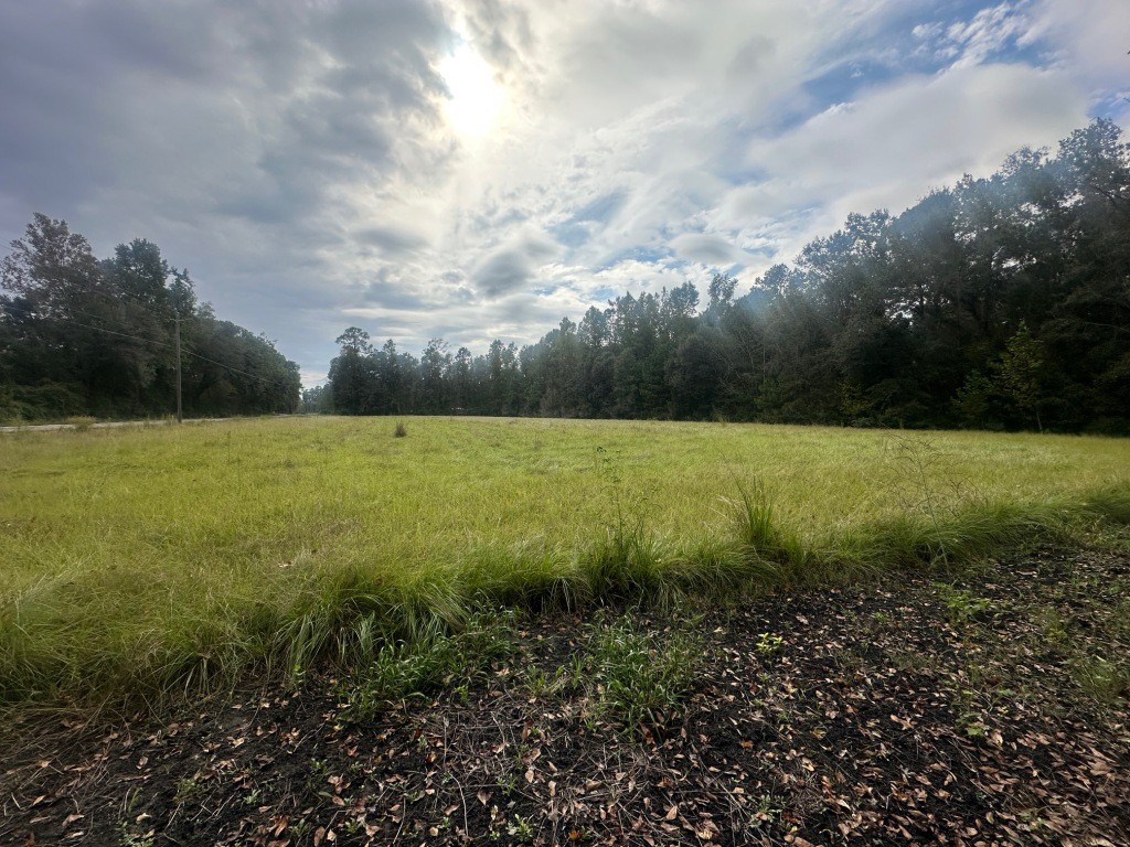 Low Ground Road Photo